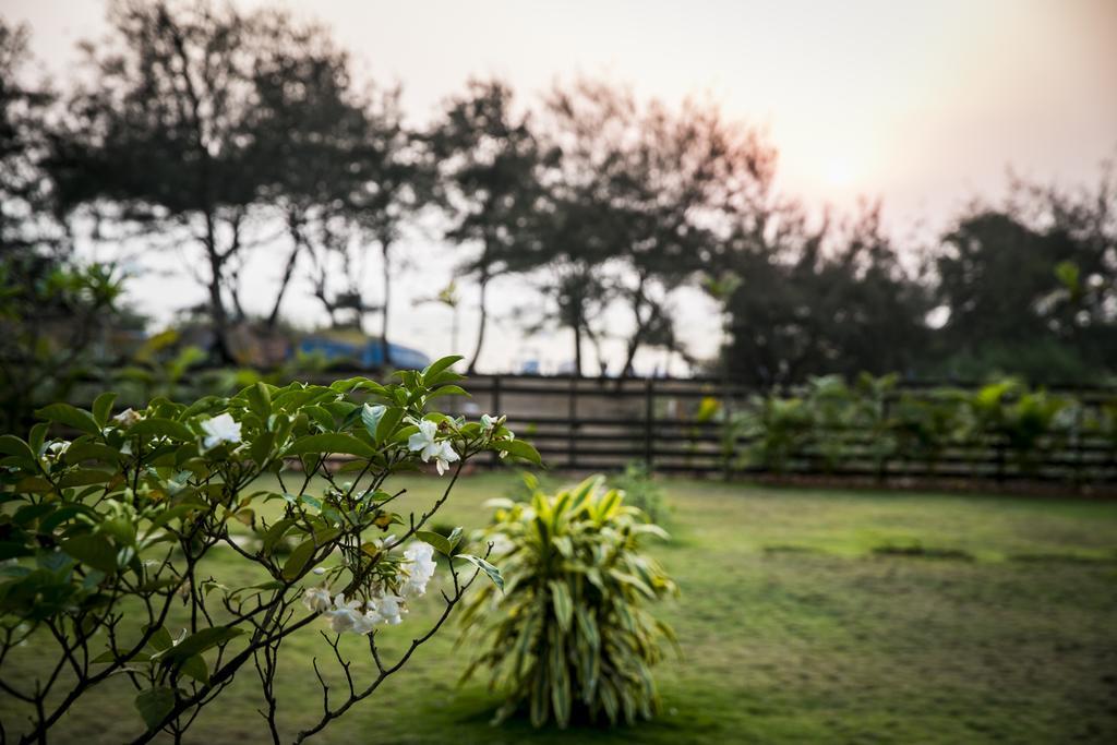 Casa Cubo By The Beach Bed & Breakfast Calangute Exterior foto